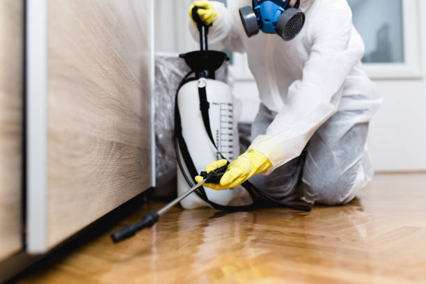 Best Pest Inspection Near Me  in Dunbar, WV