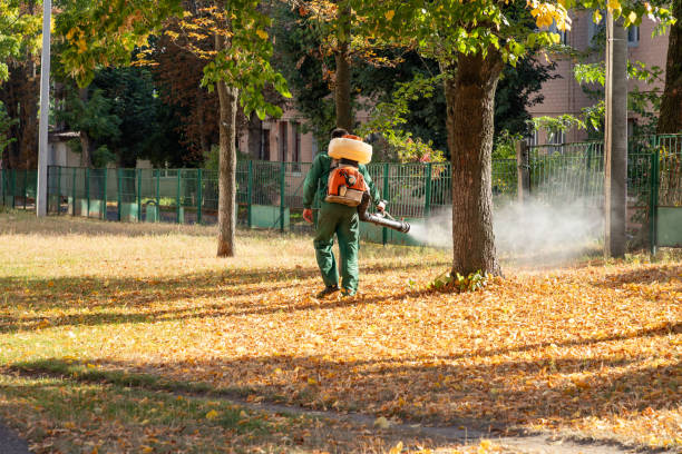 Best Pest Removal Services  in Dunbar, WV