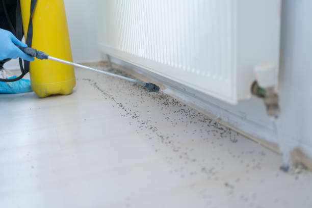 Best Mosquito Control Services  in Dunbar, WV